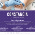 Ampliar imagen: certificate 2