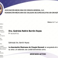 Ampliar imagen: certificate 8