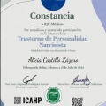 Ampliar imagen: certificate 3