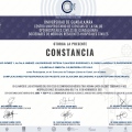 Ampliar imagen: certificate 23
