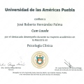 Ampliar imagen: certificate 3
