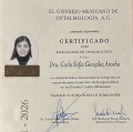 Ampliar imagen: certificate 3
