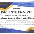 Ampliar imagen: certificate 6