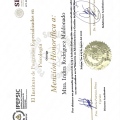 Ampliar imagen: certificate 10