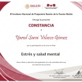 Ampliar imagen: certificate 4
