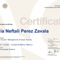 Ampliar imagen: certificate 6