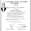Ampliar imagen: certificate 5