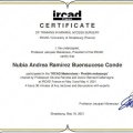 Ampliar imagen: certificate 9