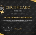 Ampliar imagen: certificate 7