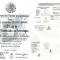 Ampliar imagen: certificate 2