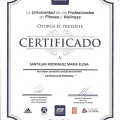 Ampliar imagen: certificate 2