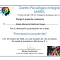 Ampliar imagen: certificate 3