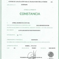 Ampliar imagen: certificate 9