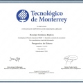 Ampliar imagen: certificate 5