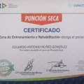 Ampliar imagen: certificate 3
