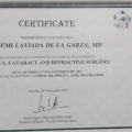 Ampliar imagen: certificate 3