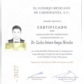 Ampliar imagen: certificate 1
