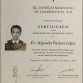 Ampliar imagen: certificate 2