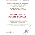 Ampliar imagen: certificate 9
