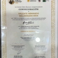 Ampliar imagen: certificate 13