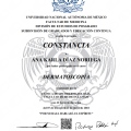 Ampliar imagen: certificate 3