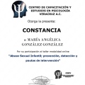 Ampliar imagen: certificate 1