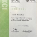 Ampliar imagen: certificate 6