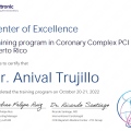 Ampliar imagen: certificate 6