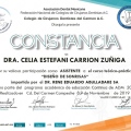 Ampliar imagen: certificate 2