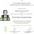 Ampliar imagen: certificate 4