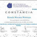 Ampliar imagen: certificate 3