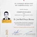 Ampliar imagen: certificate 4