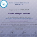 Ampliar imagen: certificate 11