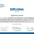 Ampliar imagen: certificate 5