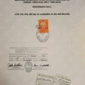 Ampliar imagen: certificate 2