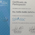 Ampliar imagen: certificate 14