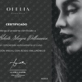 Ampliar imagen: certificate 9