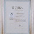 Ampliar imagen: certificate 3