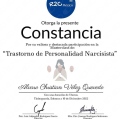 Ampliar imagen: certificate 8