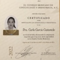 Ampliar imagen: certificate 1