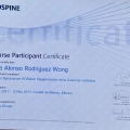 Ampliar imagen: certificate 10