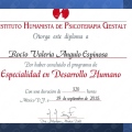 Ampliar imagen: certificate 2
