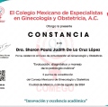 Ampliar imagen: certificate 3