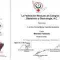 Ampliar imagen: certificate 8