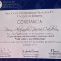 Ampliar imagen: certificate 3