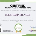 Ampliar imagen: certificate 5