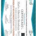 Ampliar imagen: certificate 16