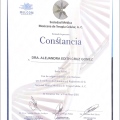 Ampliar imagen: certificate 4