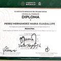 Ampliar imagen: certificate 20