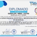 Ampliar imagen: certificate 8